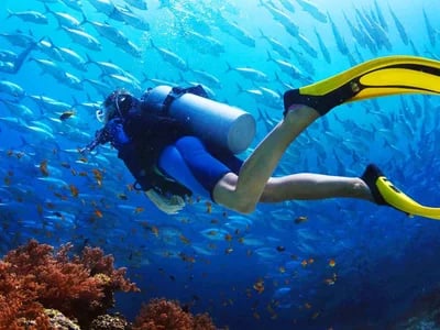 Warum das Similan Tauchcenter ein Muss für Taucher ist – Einblicke von Khaolakexplorer