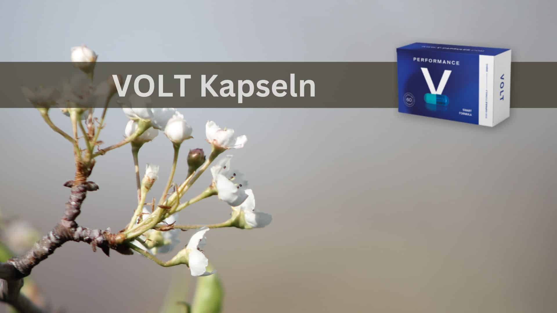 Volt V Performance Kapseln: Eine ganzheitliche Betrachtung der männlichen Gesundheit