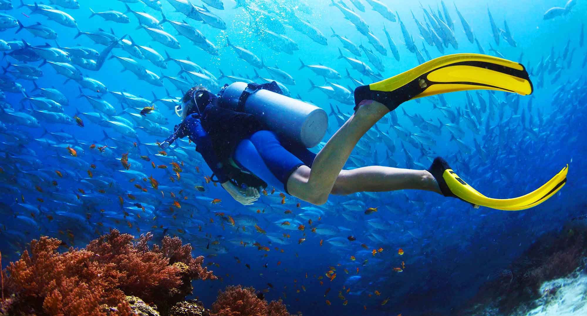 Warum das Similan Tauchcenter ein Muss für Taucher ist – Einblicke von Khaolakexplorer