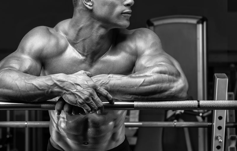 Myostatin Blocker: Die Lösung für maximales Muskelwachstum