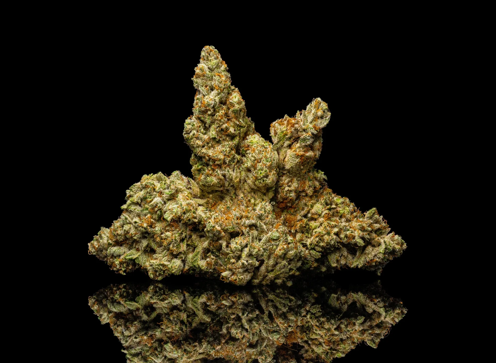 Entdecke Jealous Strain: Luxus-Cannabis für Kenner
