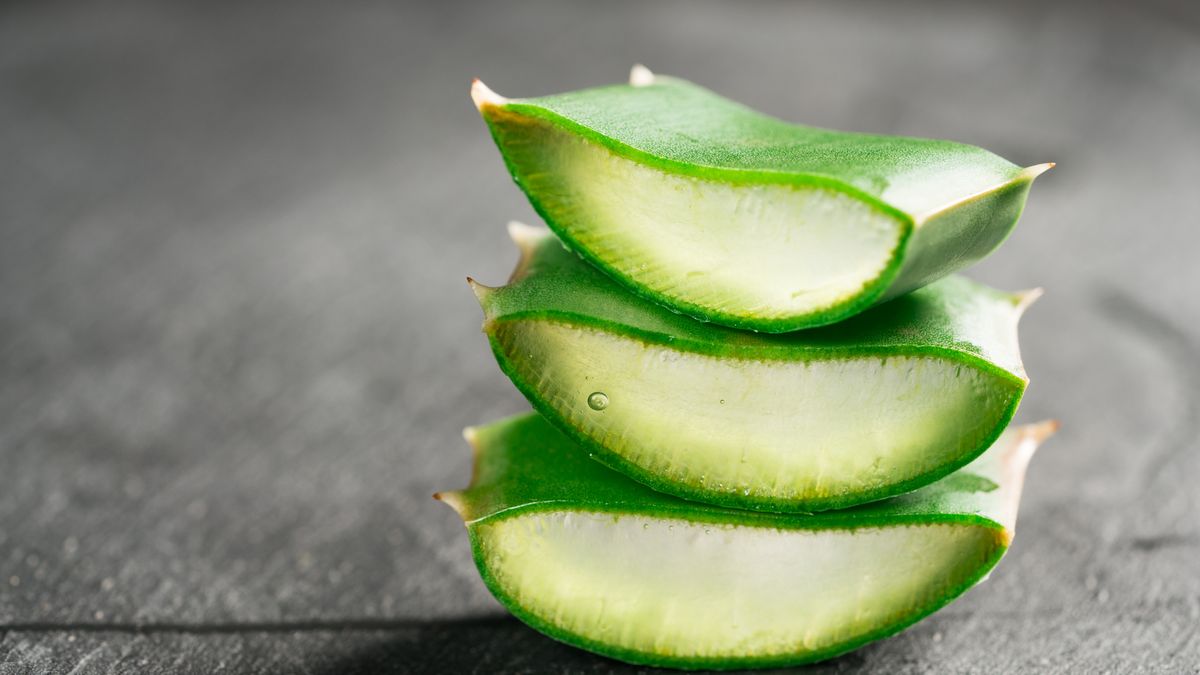 Unabhängiger Distributor: So fördern Sie Aloe Vera Forever Lips effektiv