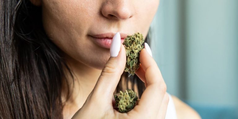 big-marijuana-buds-in-hands-close-up